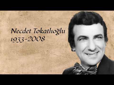 Gitmesin Gözlerinden Pırıl Pırıl Arzular - Necdet Tokatlıoğlu - 20th Century Turkish Music